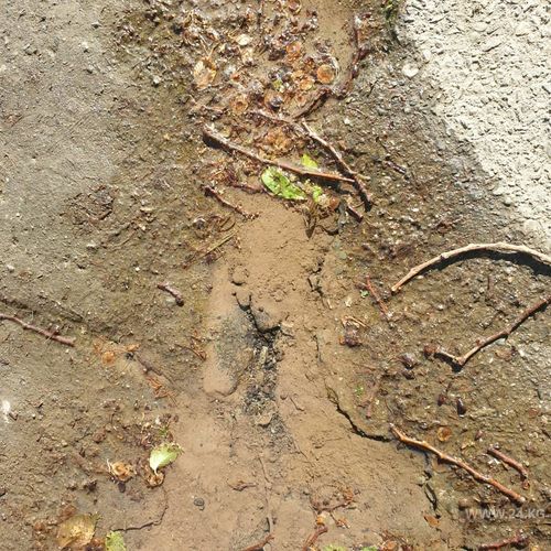 читателя 24-kg.com