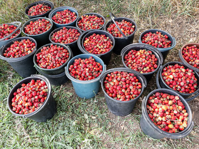 из архива собеседника