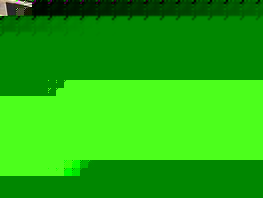 Кыргызстанцы завоевали три золота и&nbsp;бронзу на&nbsp;чемпионате мира по&nbsp;кикбоксингу 