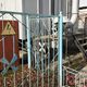 Фото 24-kg.com. Территория «Автомаш-Энерго» 