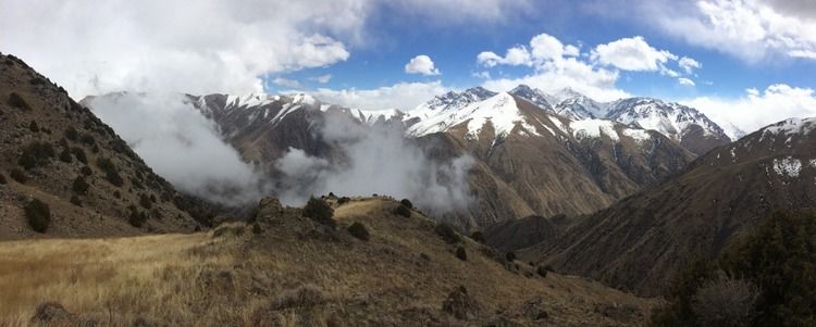 Абазбека Рашидов
