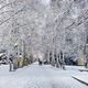 Фото Сони Айдарбаевой. Февральское село Бостери