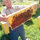 Фото пресс-службы ГАООСиЛХ. В Кара-Кульджинском лесном хозяйстве появилась пасека