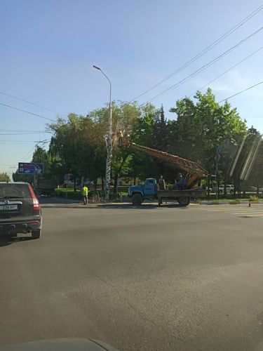 читателя 24-kg.com