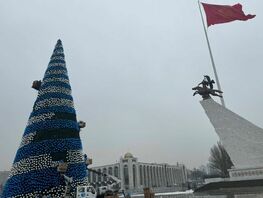 Bishkek’s main New Year Tree to be lit up on December 15