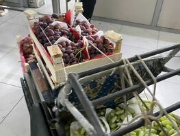 Фисташки из&nbsp;Узбекистана не&nbsp;допустили для ввоза в&nbsp;Кыргызстан 