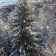 Фото Жумагуль Тентиевой. Зимняя Иссык-Ата