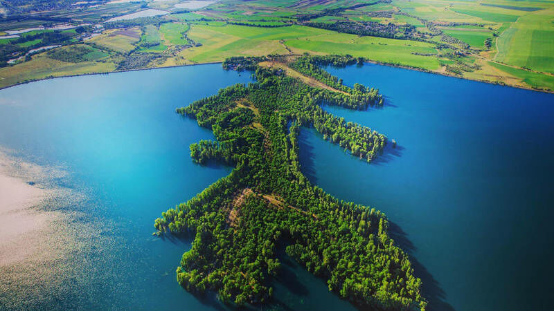 из интернета