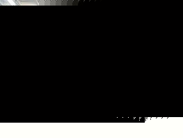 Валентина Шевченко показала тренировку перед защитой своего титула на UFC 322