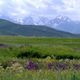 Фото Максудбека Шамшидинова. Кок-Бель, Ноокатский район