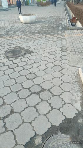 читателя 24-kg.com