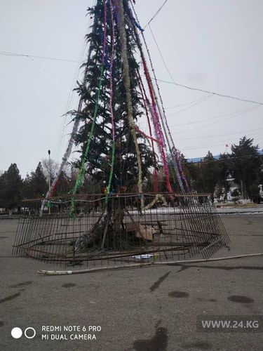 из соцсетей