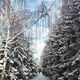 Фото Сони Айдарбаевой. Февральское село Бостери
