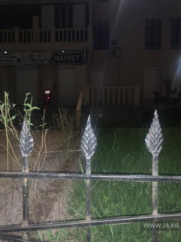 читателя 24-kg.com