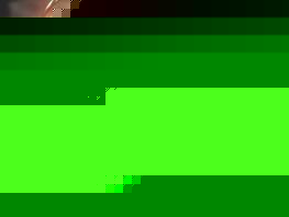 President instructs Energy Ministry to abolish unlimited electricity tariff