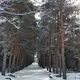 Фото Сони Айдарбаевой. Февральское село Бостери