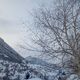 Фото Майрам Буркутовой. Аламединское ущелье, начало марта 2024 года