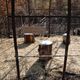 Фото ИА «24-kg.com». Ботсад, 6 октября 2017 года