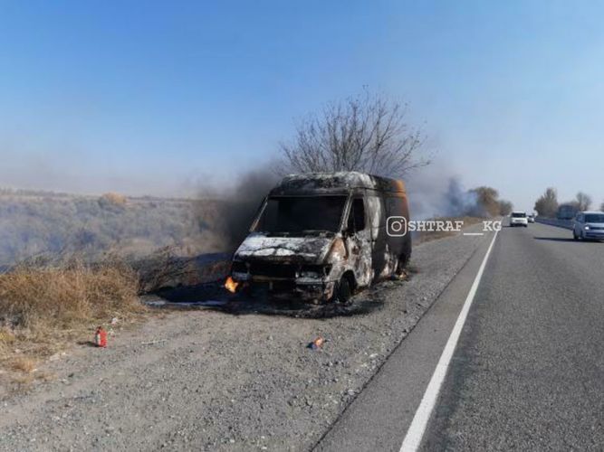 из интернета