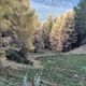Фото Даврана Гиясова. Природный парк «Ала-Арча»