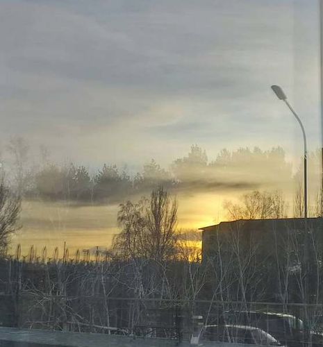 Нурайым Тологоновой