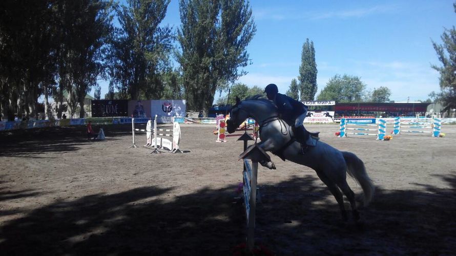 Виктора Мальцева