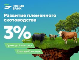 Развитие племенного скотоводства под 3&nbsp;процента от&nbsp;&laquo;Элдик Банка&raquo; 