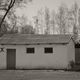 Фото Дианы Светличной. Школьный туалет