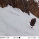 Фото Союза охраны природы Германии (NABU) в Кыргызстане. Природный заповедник «Сурмо-Таш»