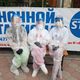 Фото 24-kg.com. Медсестры Динара Джедигерова, Джаркын Адылбекова и Айжамал Саламатова