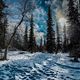 Фото Виктора Клейменова. Зимняя Ала-Арча