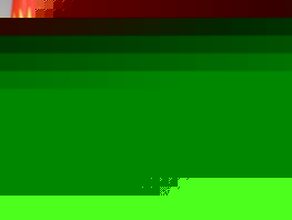 Kamchybek Tashiev asks Chinese company to learn Kyrgyz language