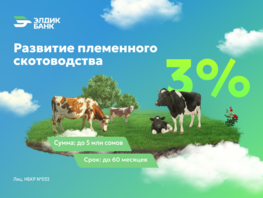 Развитие племенного скотоводства&nbsp;&mdash; под 3&nbsp;процента годовых от&nbsp;&laquo;Элдик Банка&raquo; 