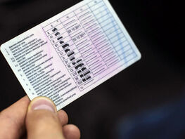 В&nbsp;Кыргызстане сократили сроки выдачи лицензий для школ и&nbsp;водительских прав 