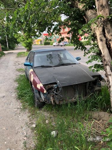 читателя 24-kg.com