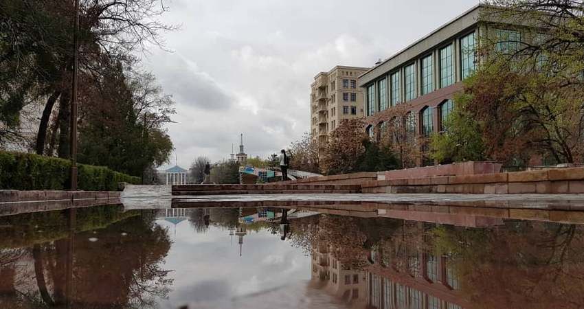 Романа Вершинского