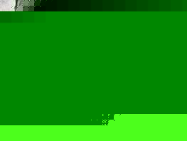 Кыргызстанец Мыктыбек Оролбай проведет свой следующий бой против Криса Кертиса 