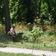 Фото 24-kg.com. Всю Карагачевую рощу обслуживают всего лишь десять человек