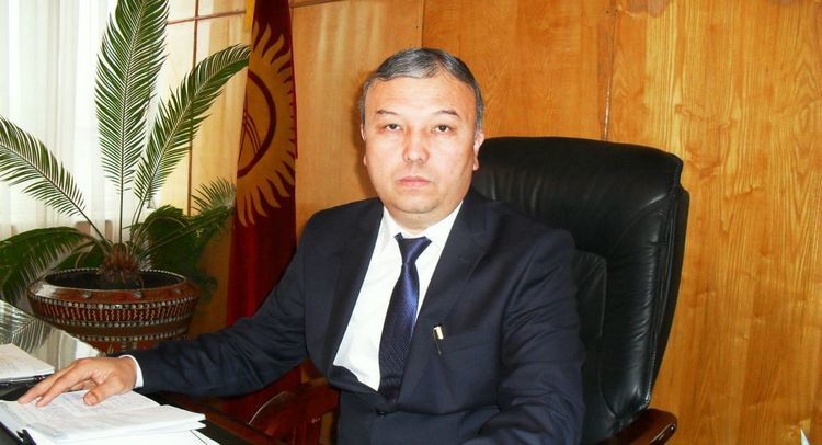 из интернета