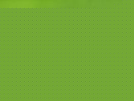 В&nbsp;РФ&nbsp;заблокируют WhatsApp, если мессенджер не&nbsp;будет исполнять законы страны 