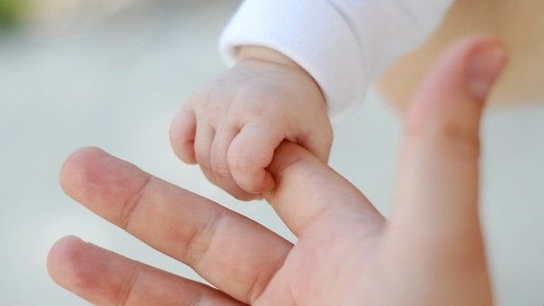 Интернеттен алынды